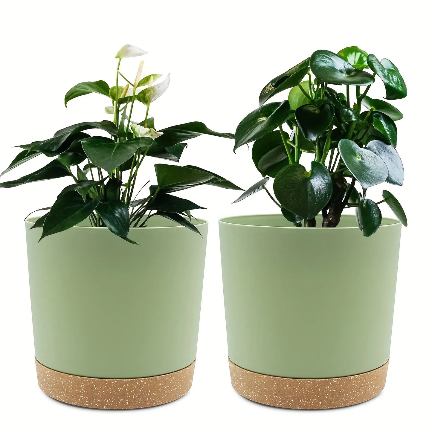 Flowerpot Removable Bottom