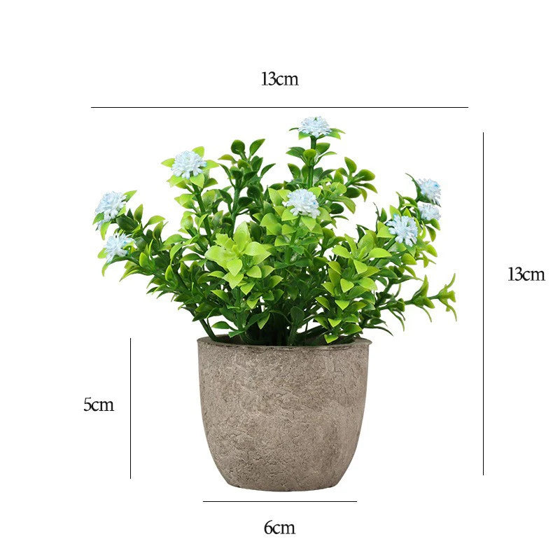 Desktop Bonsai plant