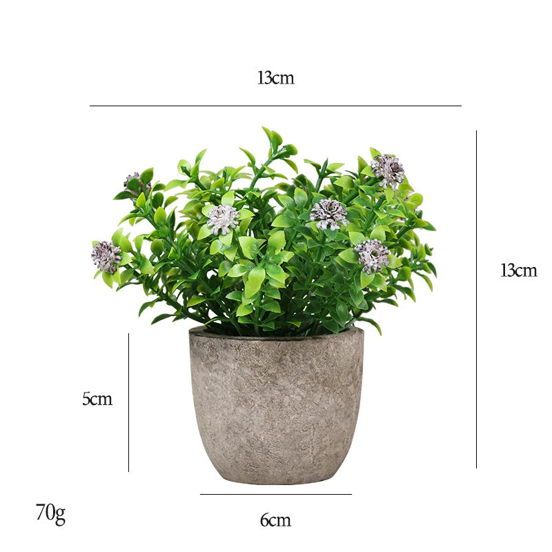 Desktop Bonsai plant