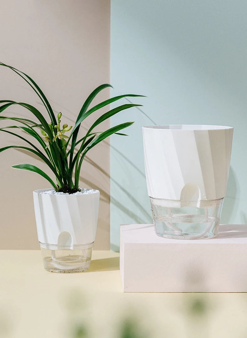 
Hydroponic Flower Pot