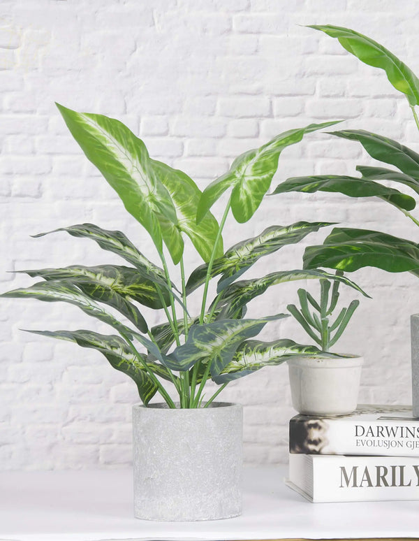Faux Plant