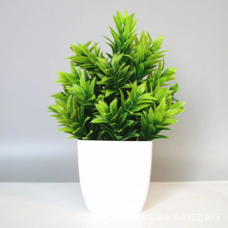 Bonsai Eucalyptus Flower
