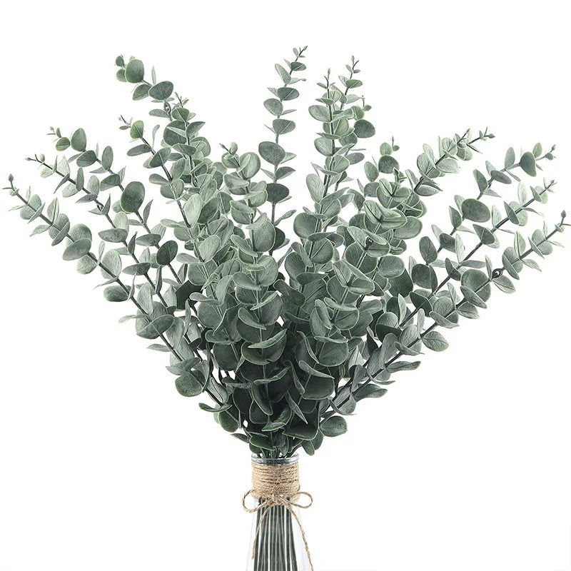 20 Eucalyptus Stems Leaves