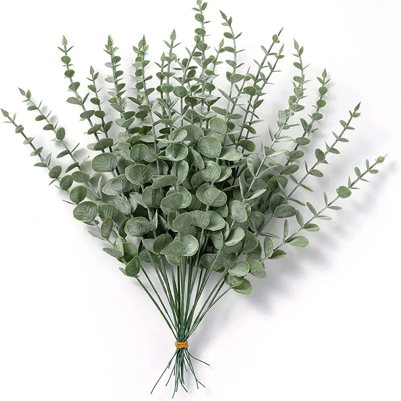 20 Eucalyptus Stems Leaves