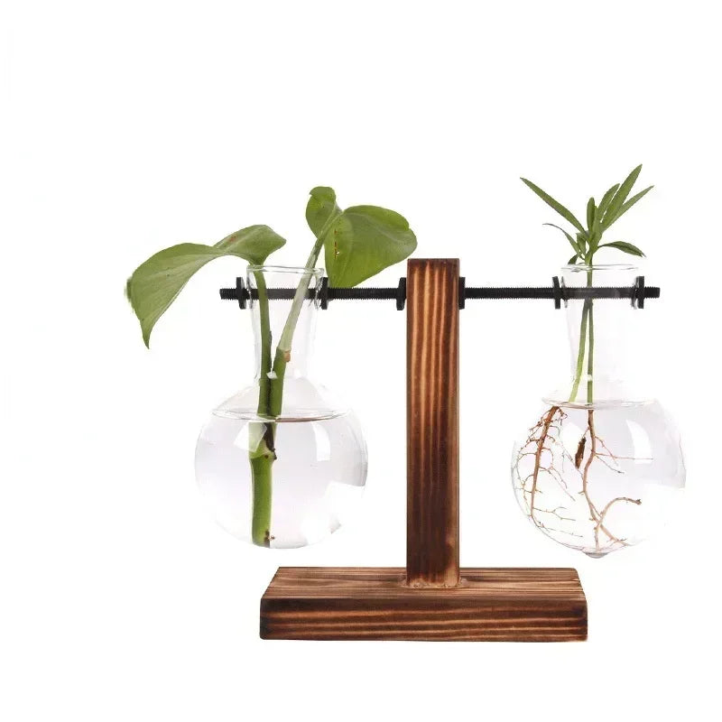 Hydroponic plant terrarium vase