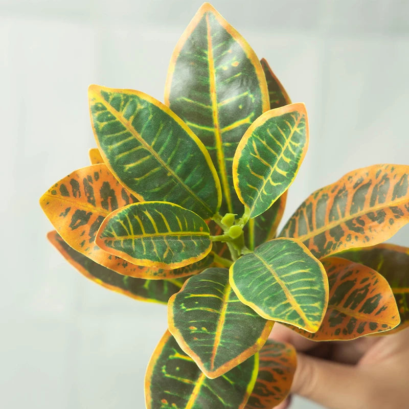 Tropical banyan tree