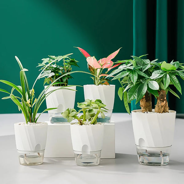 
Hydroponic Flower Pot