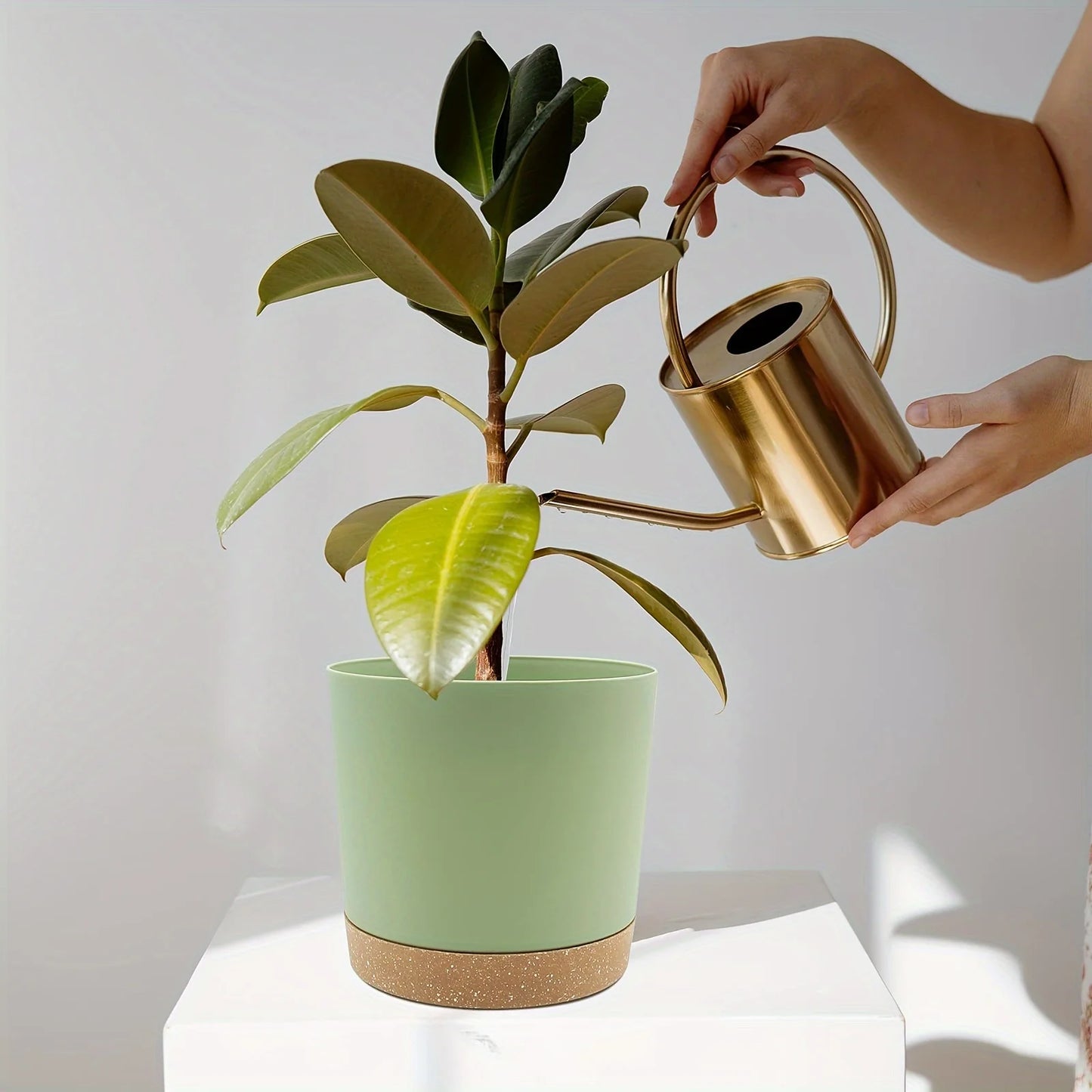 Flowerpot Removable Bottom