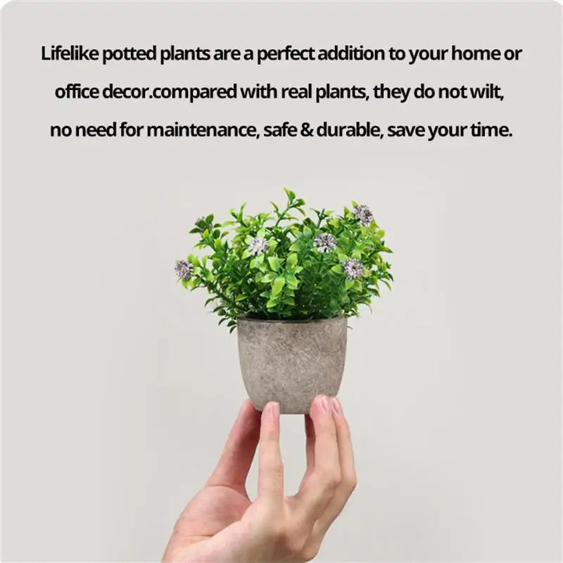 Desktop Bonsai plant