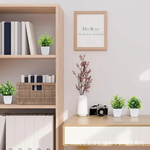 Bonsai Eucalyptus Flower
