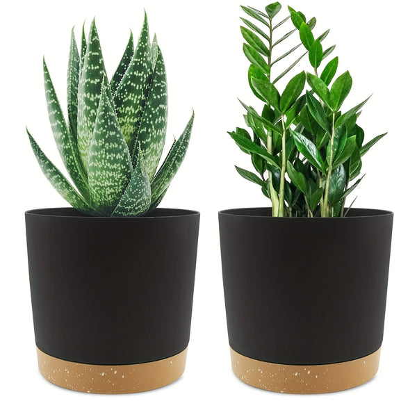 Flowerpot Removable Bottom