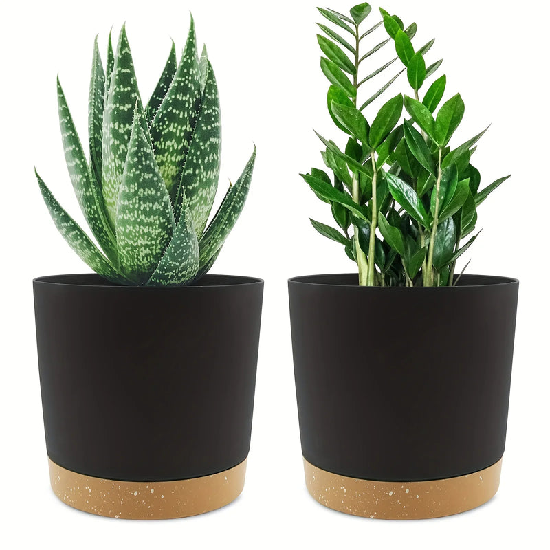 Flowerpot Removable Bottom