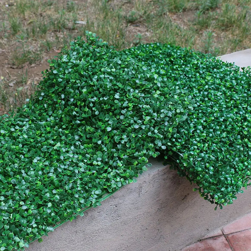 Plant Walls Foliage Hedge Grass Mat