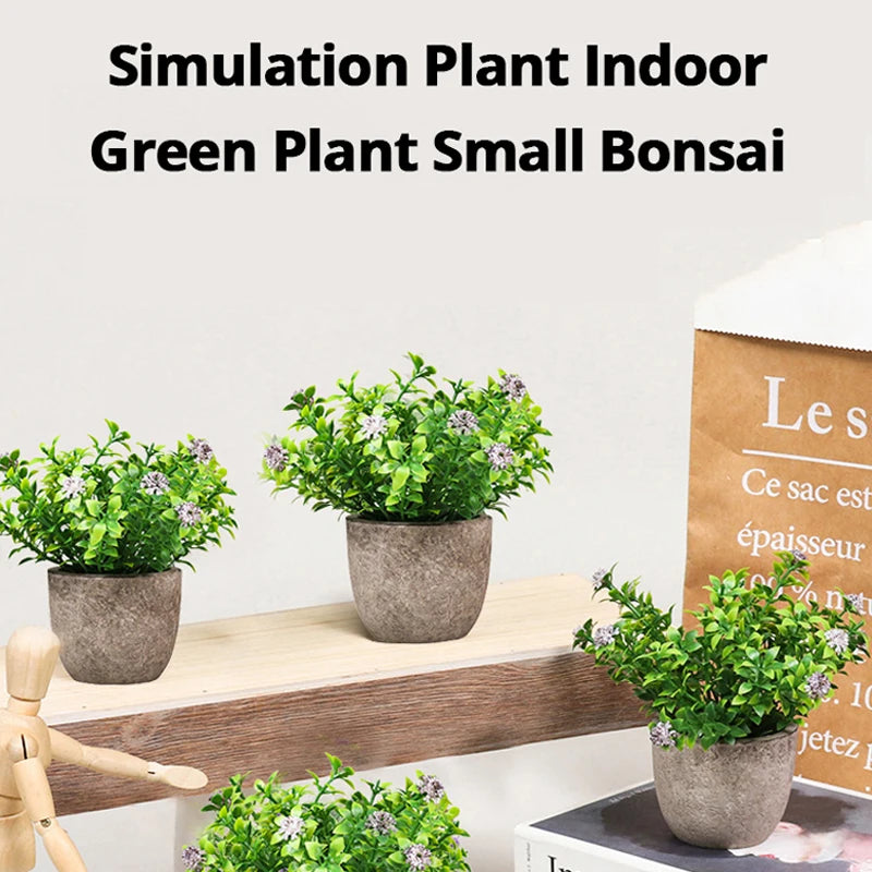 Desktop Bonsai plant