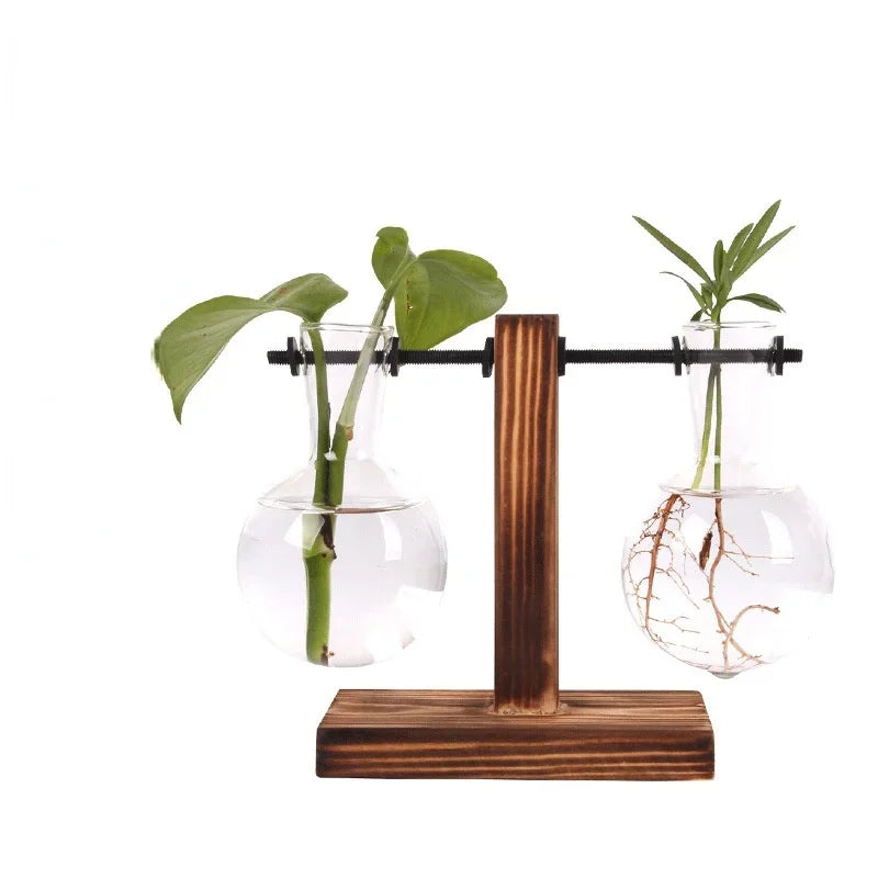 Hydroponic plant terrarium vase