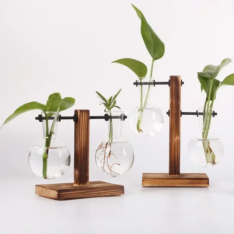 Hydroponic plant terrarium vase