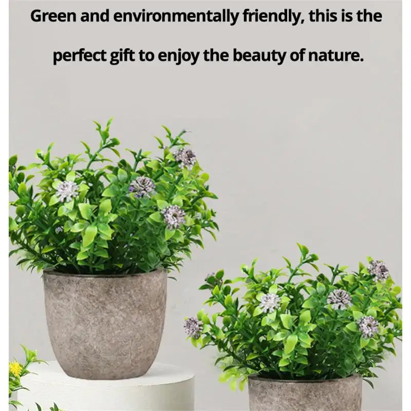 Desktop Bonsai plant