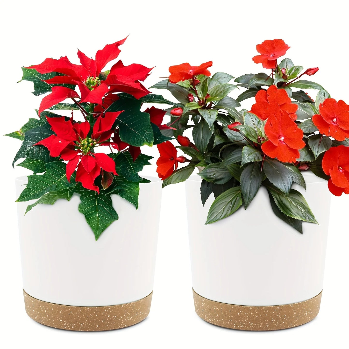 Flowerpot Removable Bottom