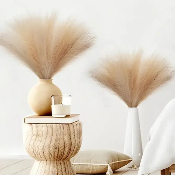 10 Fluffy Flowers Pampas