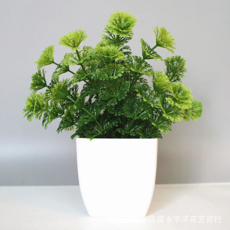 Bonsai Eucalyptus Flower
