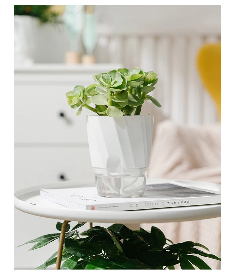 
Hydroponic Flower Pot