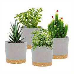 Flowerpot Removable Bottom