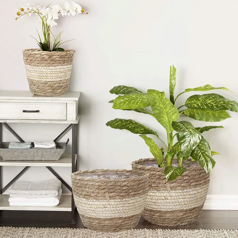 Straw Weaving Flower Plant Basket.