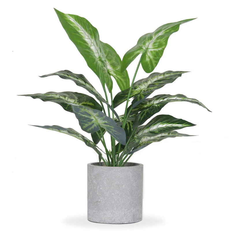 Faux Plant