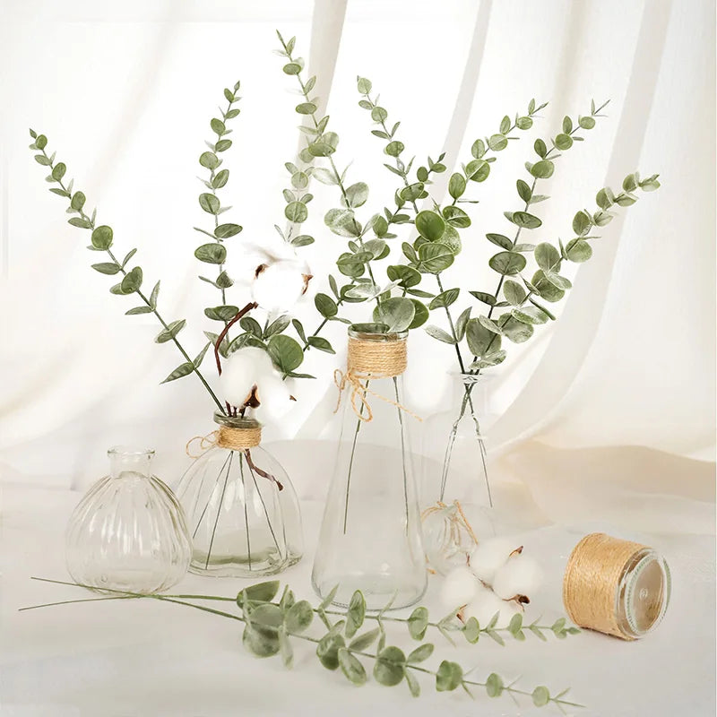 20 Eucalyptus Stems Leaves