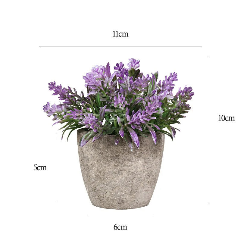 Desktop Bonsai plant