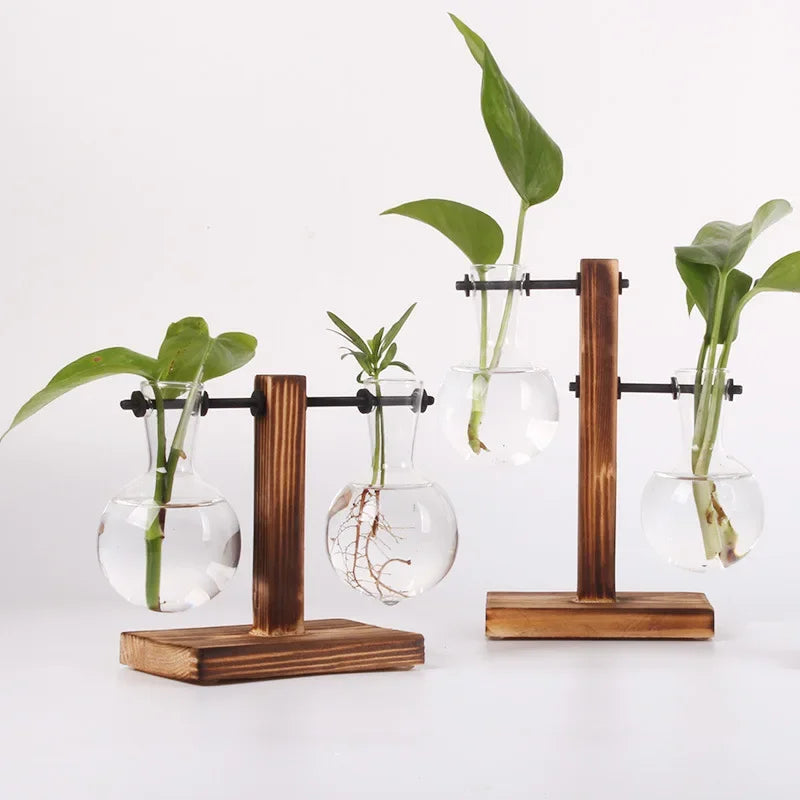 Hydroponic plant terrarium vase