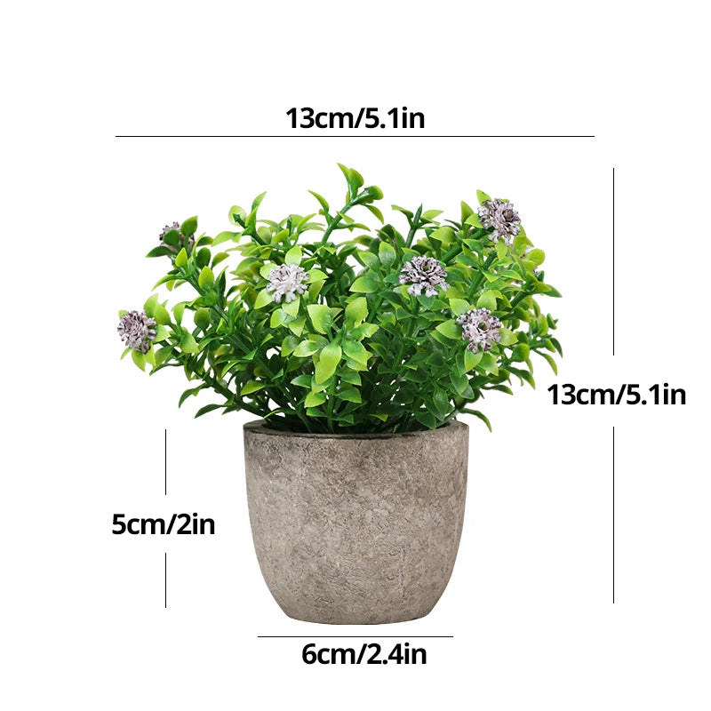 Desktop Bonsai plant