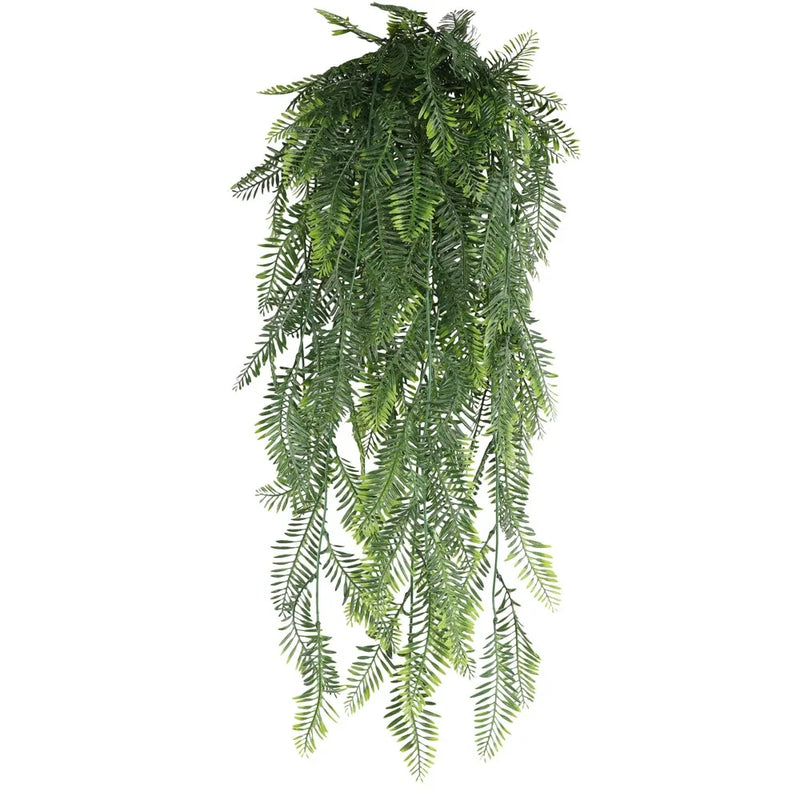 Persian fern Leaves Vines