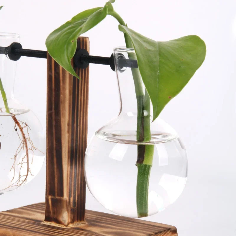Hydroponic plant terrarium vase