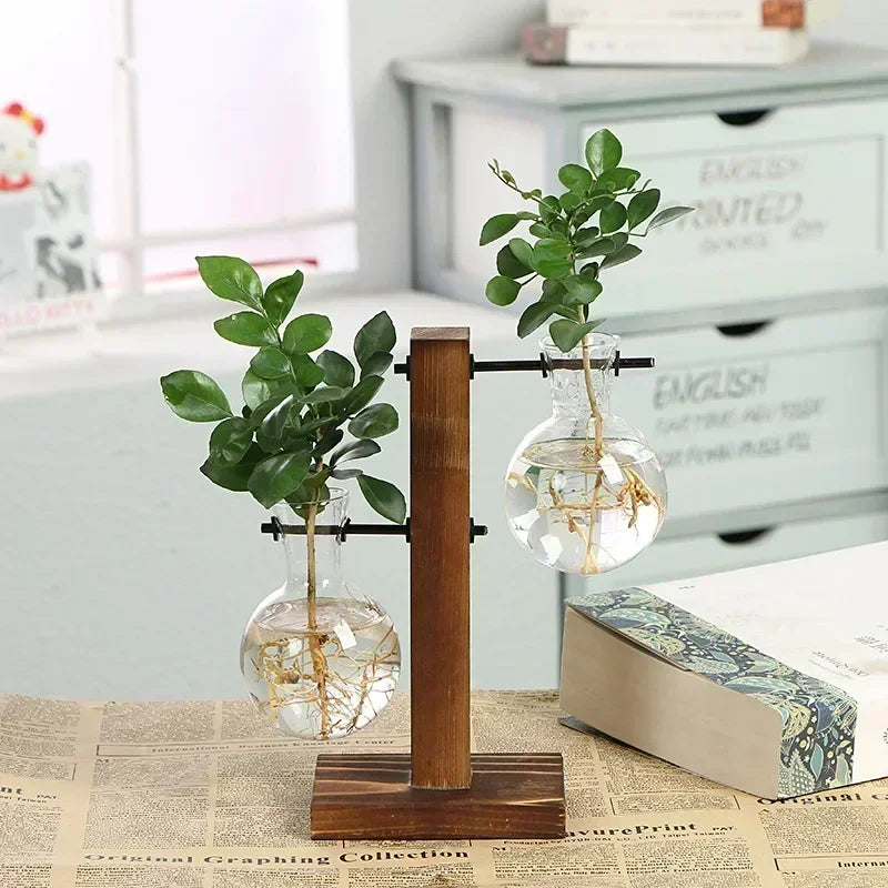 Hydroponic plant terrarium vase