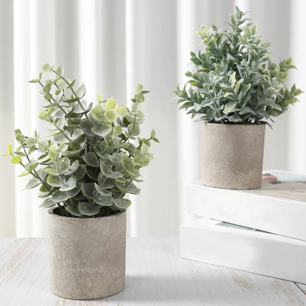 Bonsai Green plant