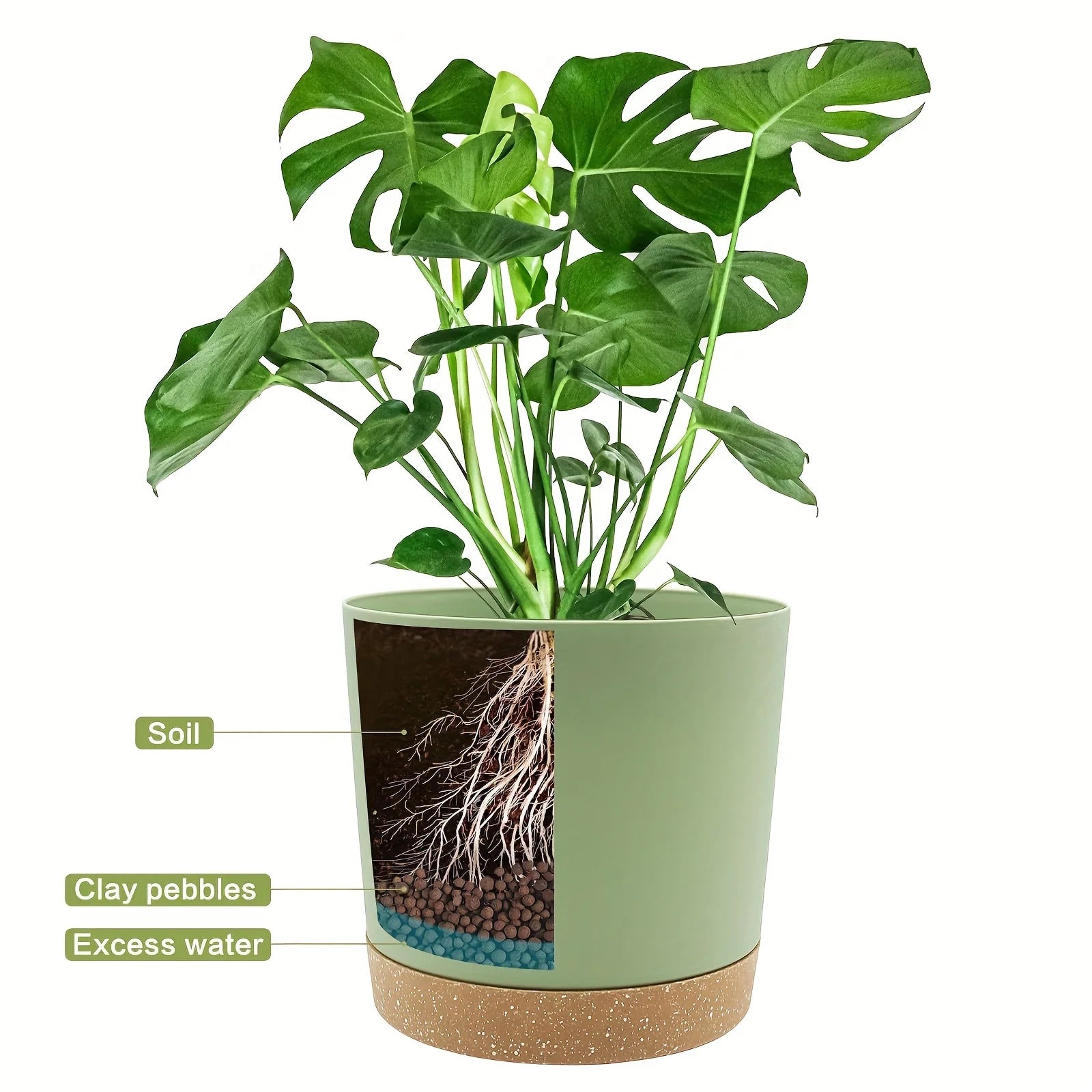 Flowerpot Removable Bottom