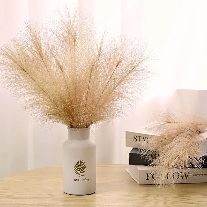 10 Fluffy Flowers Pampas