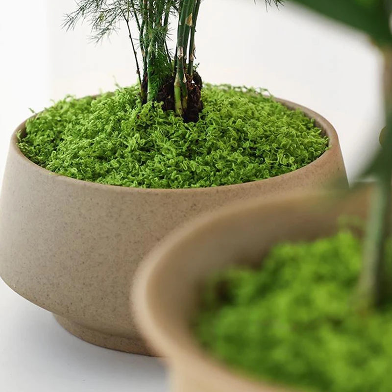 Polyester Moss Grass Decoration