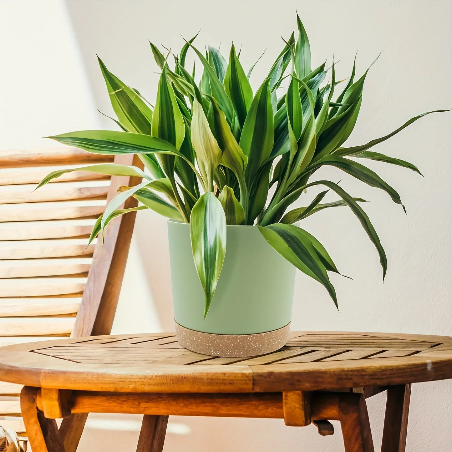 Flowerpot Removable Bottom