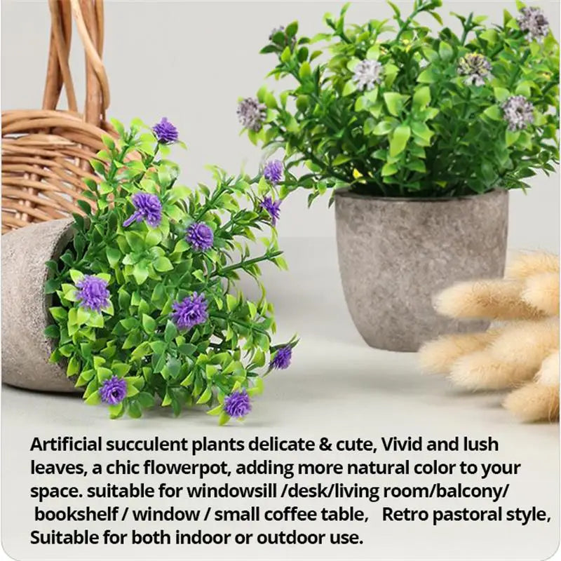 Desktop Bonsai plant