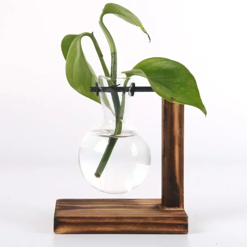 Hydroponic plant terrarium vase