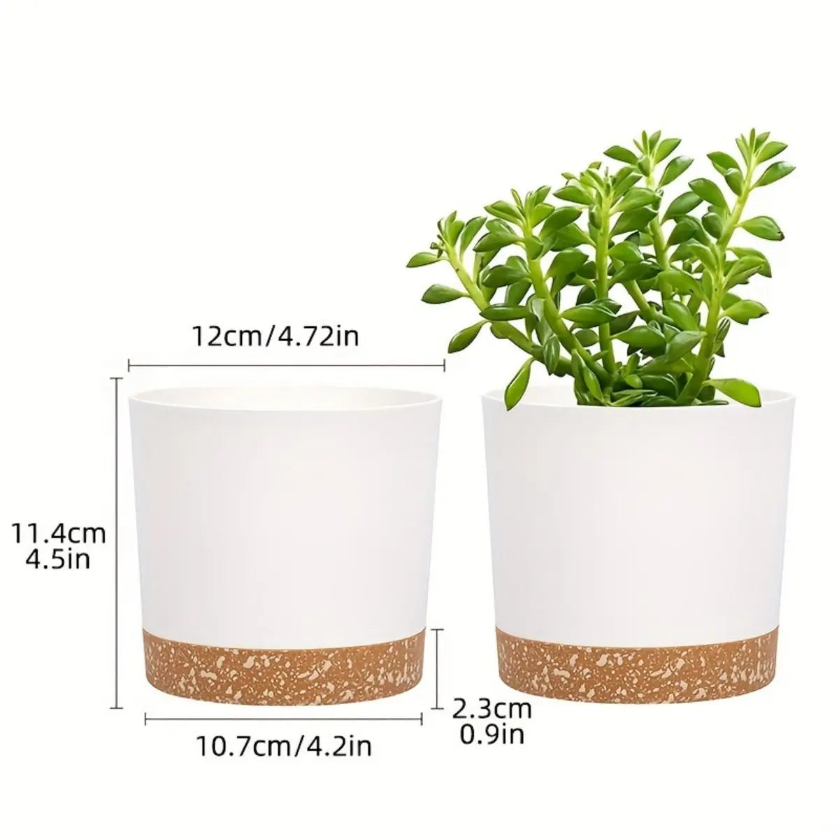Flowerpot Removable Bottom