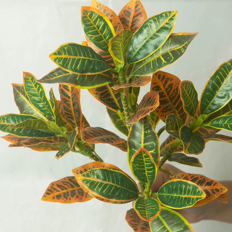 Tropical banyan tree