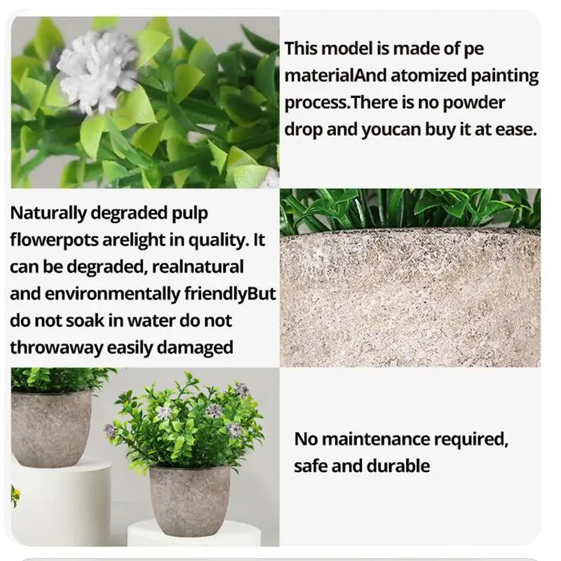 Desktop Bonsai plant